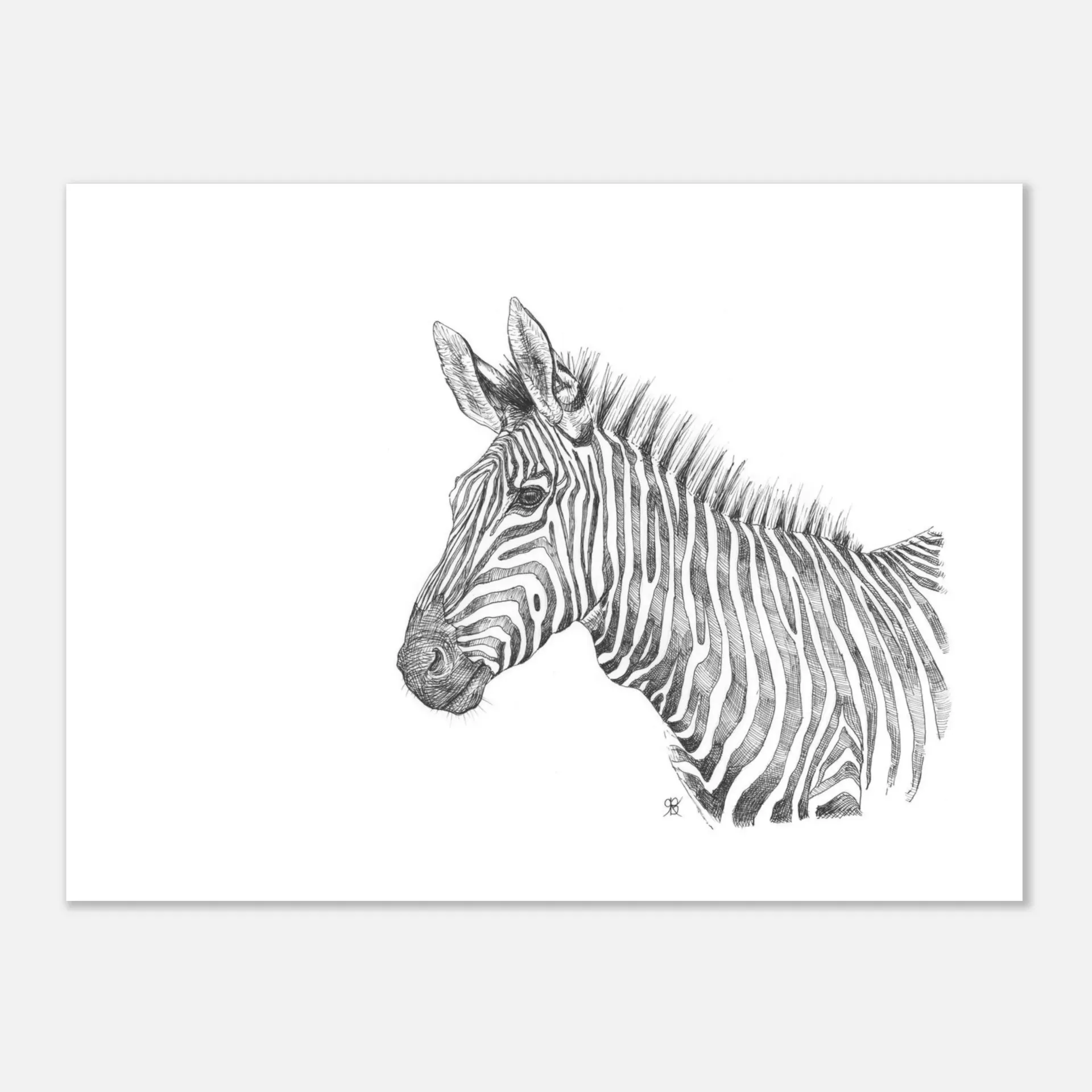 Zebra (15x20 cm / 6x8″)